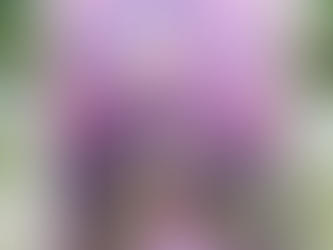 Card of the Day- April 22, 2026