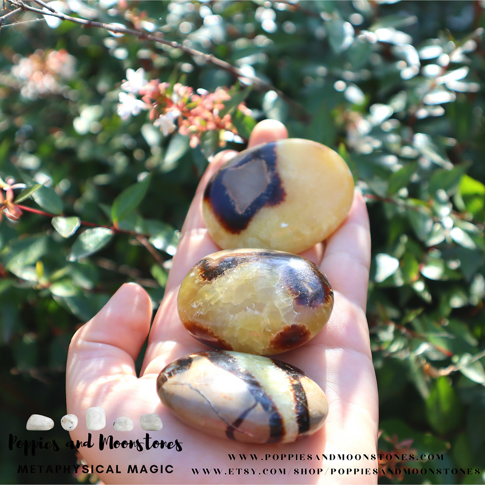 Thumbnail: Supercharged Septarian Dragon Stone Palm Stone Reiki Infused- You Pick!