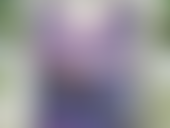 Card of the Day- April 7, 2026