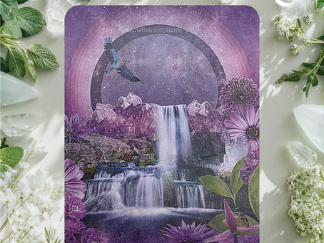 Card of the Day- March 20, 2026