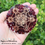 Thumbnail: Metatron’s Cube Sacred Geometry Garnet Orgone Charging Plate- Reiki Infused
