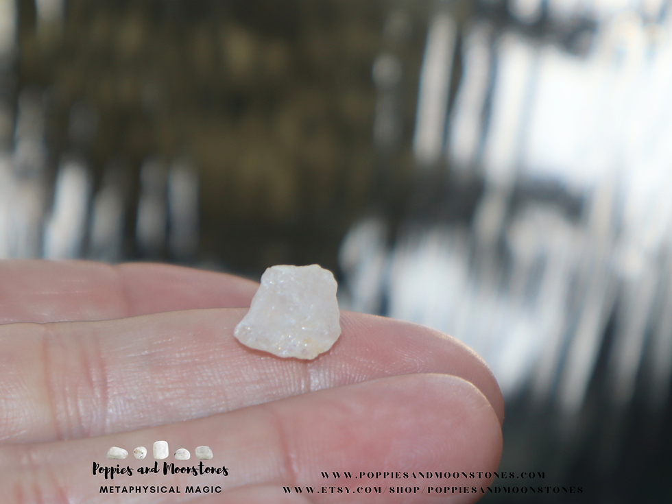 Thumbnail: Phenacite Crystal Rare Synergy 12 Crystal Specimen- Supercharged- Reiki Infused