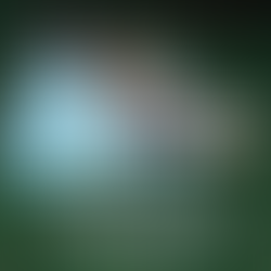 Emilia Borlone: cuando una voz chilena encuentra libertad, raíz y sentido en México