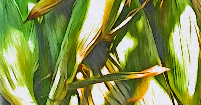 Corn on the Cob_edited.jpg