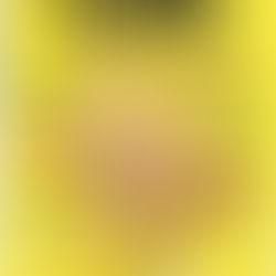 I BURATTINAI DEL PENE