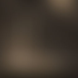 i pilastri della scienza. I CHING