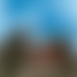 L A MASSERIA DELLE ALLODOLE - Paolo e Vittorio Taviani