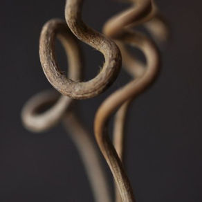 istinto e lavoro_una storia vera