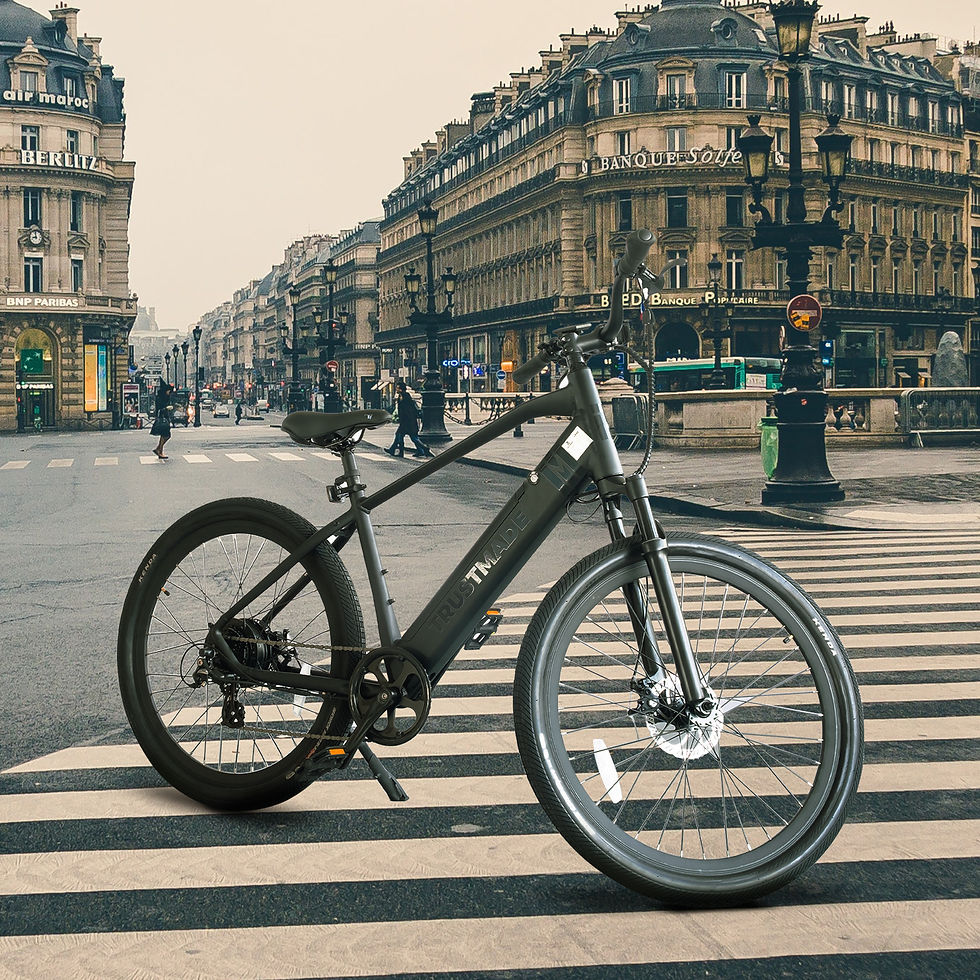 Thumbnail: Trustmade Ebike