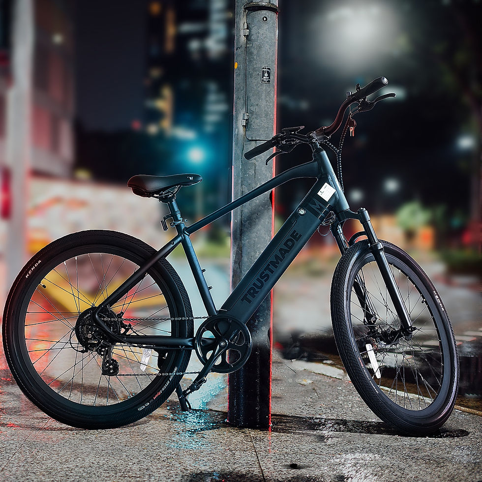 Thumbnail: Trustmade Ebike