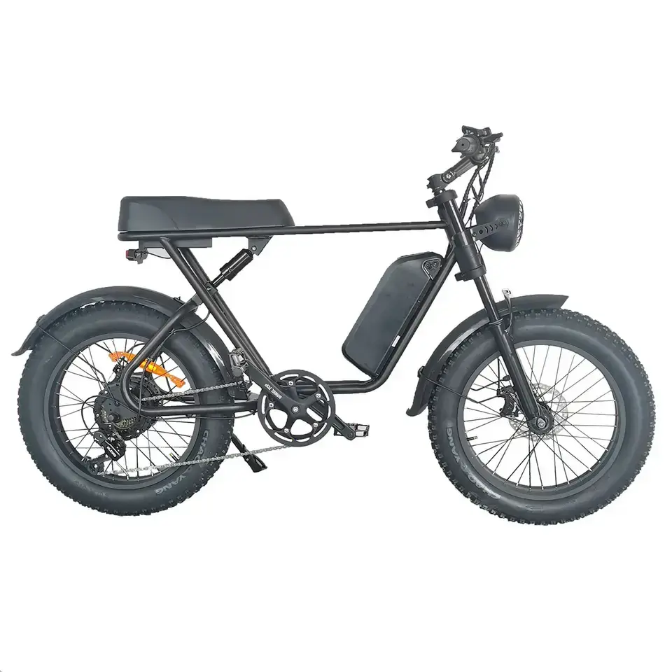 Thumbnail: Electric Bicycle 1000W 48v 15AH 70KM 20 Inch Wide Tire Electric Bicycle Double S