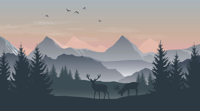 Miniatura: Obraz na płótnie w ramce no obraz