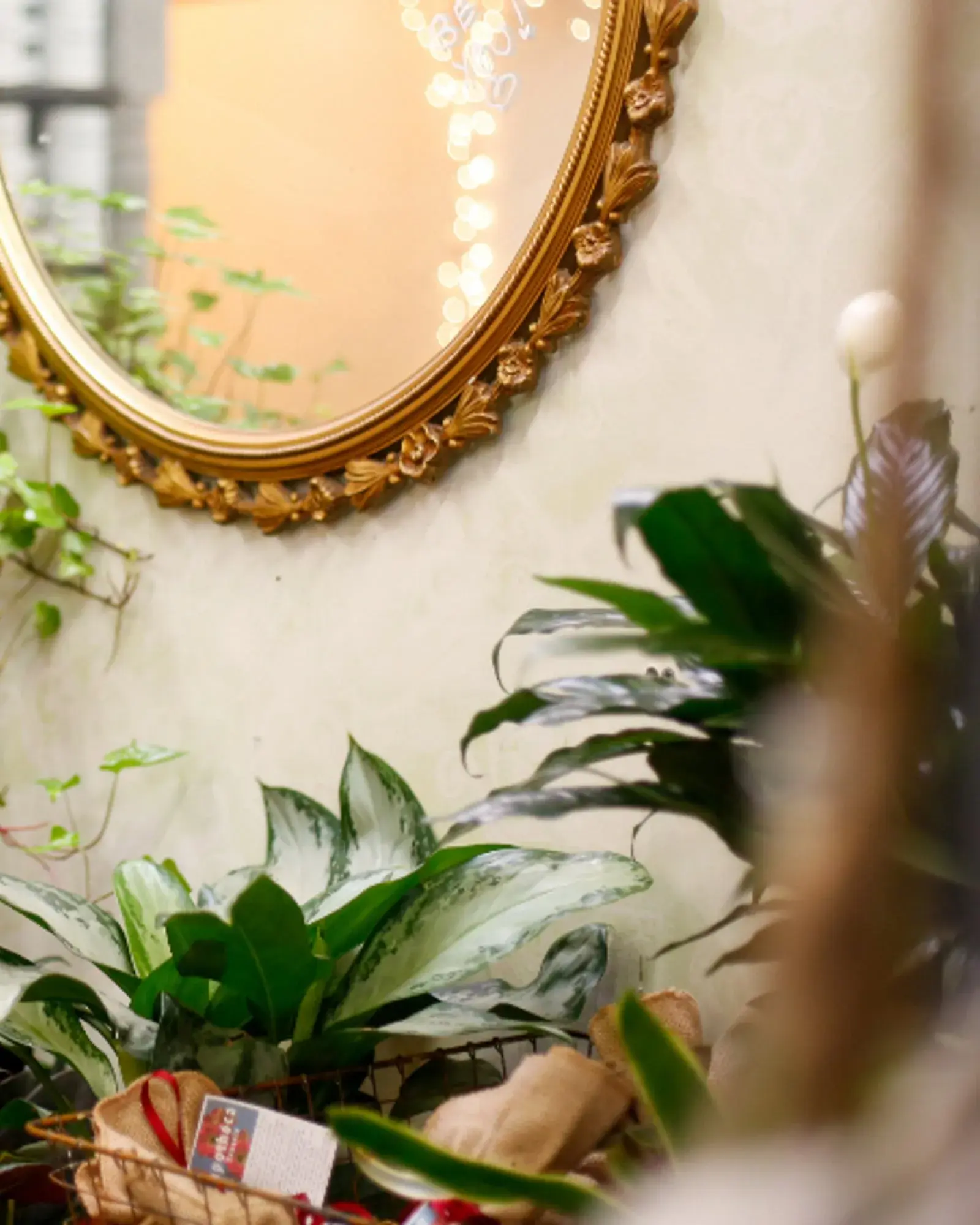 Arched brass mirror