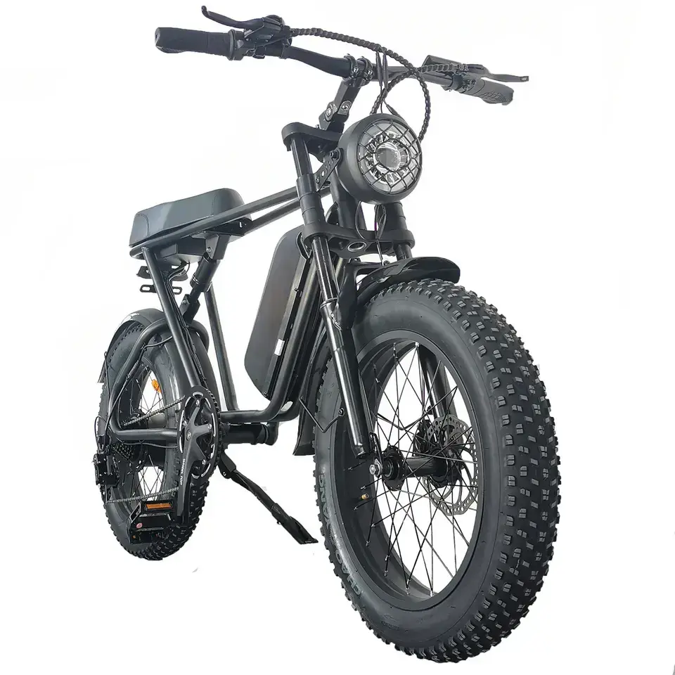 Thumbnail: Electric Bicycle 1000W 48v 15AH 70KM 20 Inch Wide Tire Electric Bicycle Double S