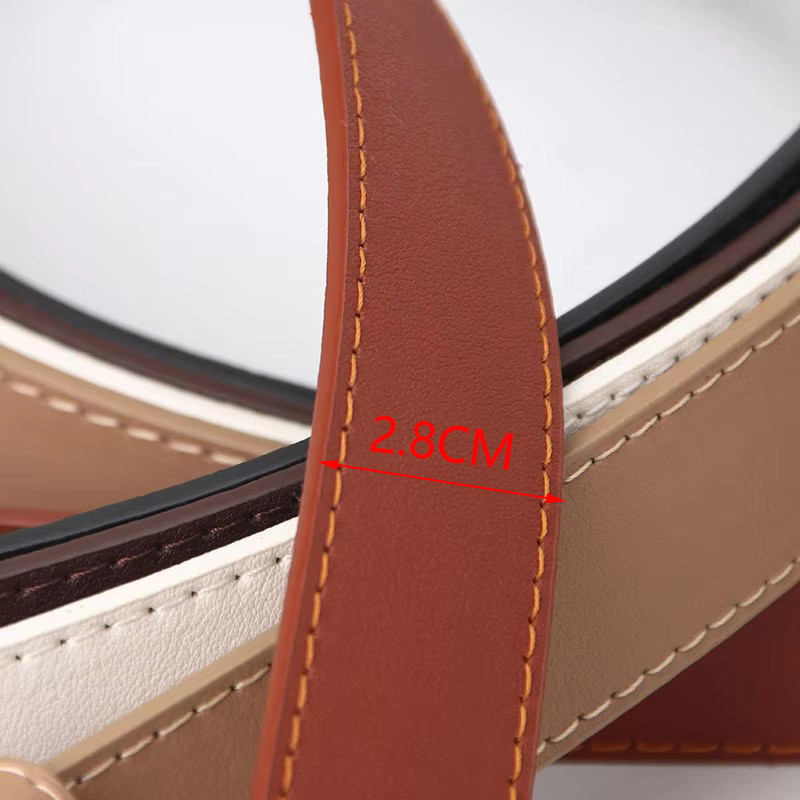 Belts For Women Simple Leather Mental Jeans Dress Skirt Pin view 5