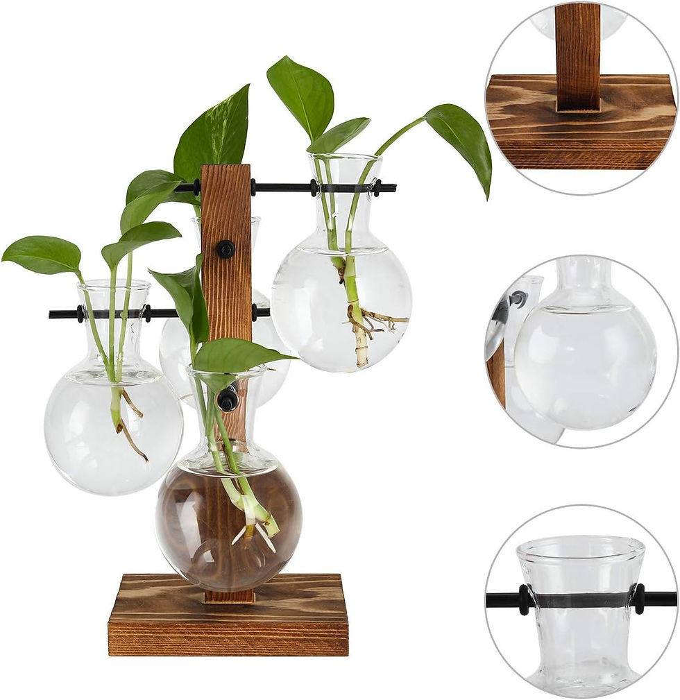 Thumbnail: PAG Plant Terrariums Kit Desktop Hydroponics Air Planter Holder with 4 Bulb Beak
