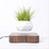 Thumbnail: Levitating Air Bonsai Pot Rotation Flower Pot Planters Magnetic  Suspension