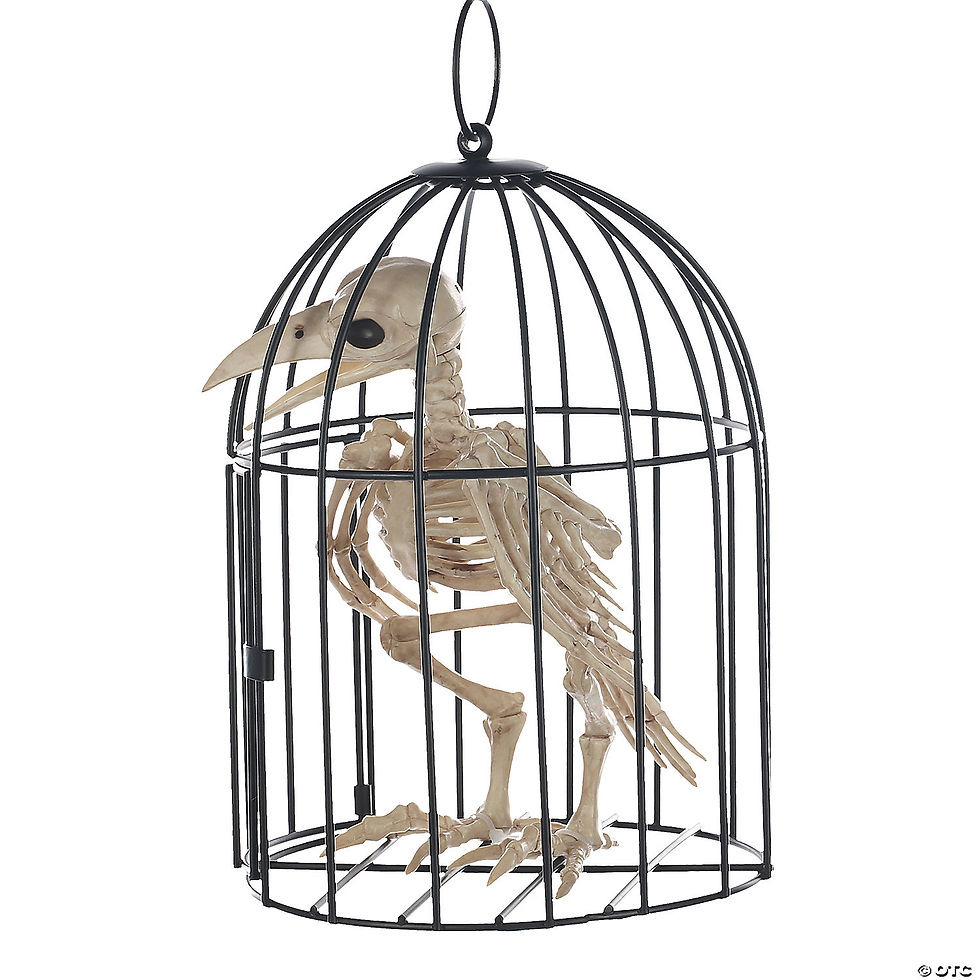 Thumbnail: Secondary image for Skeleton Crow in a Cage