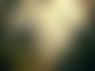 50 Datos Curiosos Sobre los Dinosaurios Que Te Sorprenderán