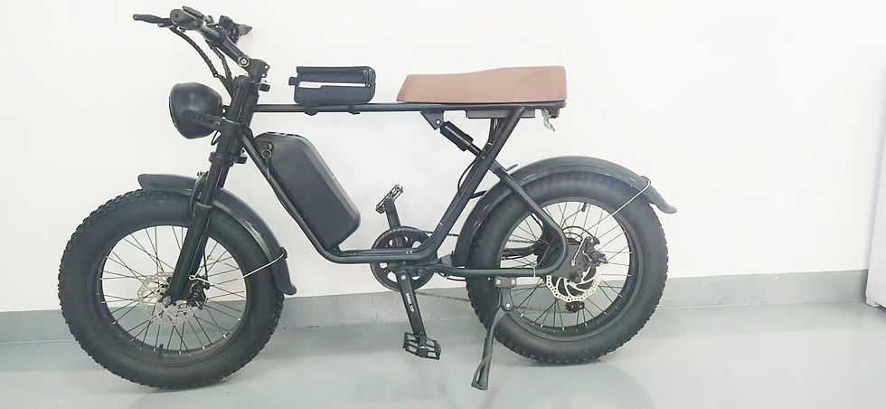 Thumbnail: Electric Bicycle 1000W 48v 15AH 70KM 20 Inch Wide Tire Electric Bicycle Double S