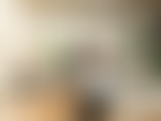 A sun drenched modern open plan office bathed in soft natural light In the foreground a golden retri