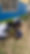 IMG_0540 (1).jpeg