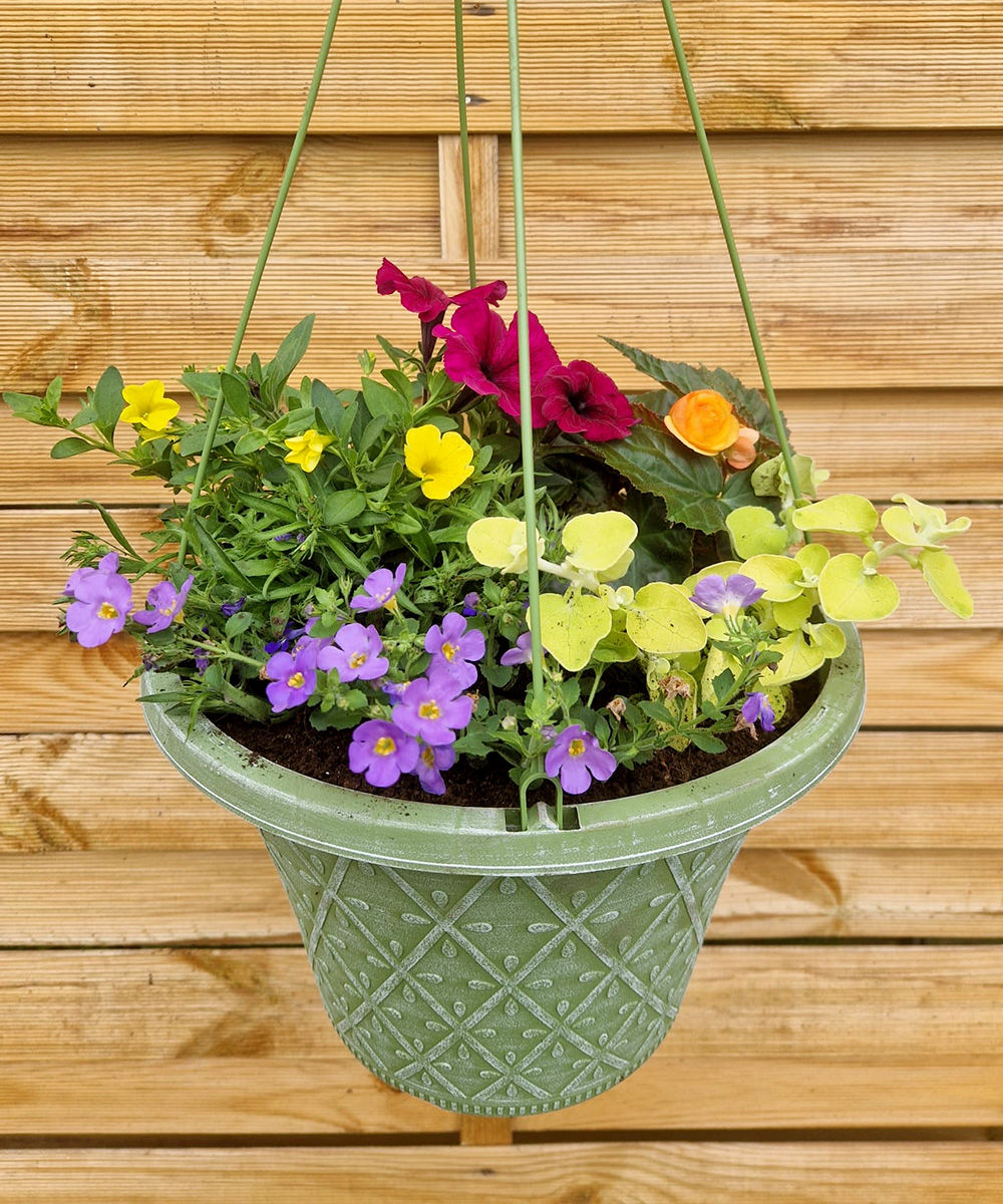 Hanging Basket - Plastic - Style 1