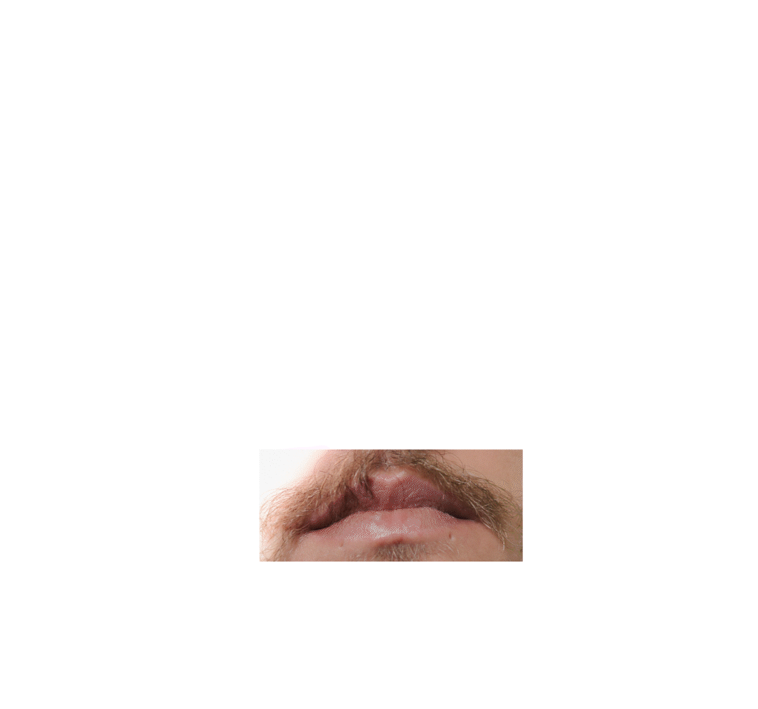 thiagobonilla_faces2.gif
