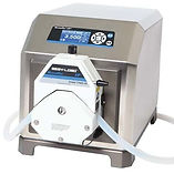 Masterflex model I/P