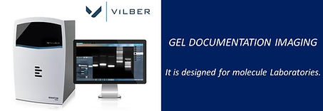 Vilber Gel documentation imaging