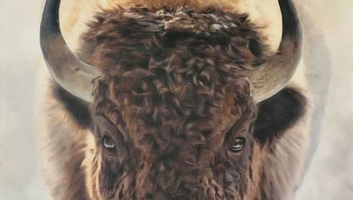 Mornings Thunder, Catherine Holt