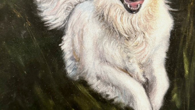 Joy, Linda French