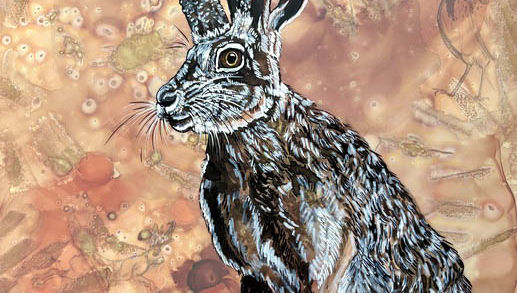 Mythical Moon, Molly Box