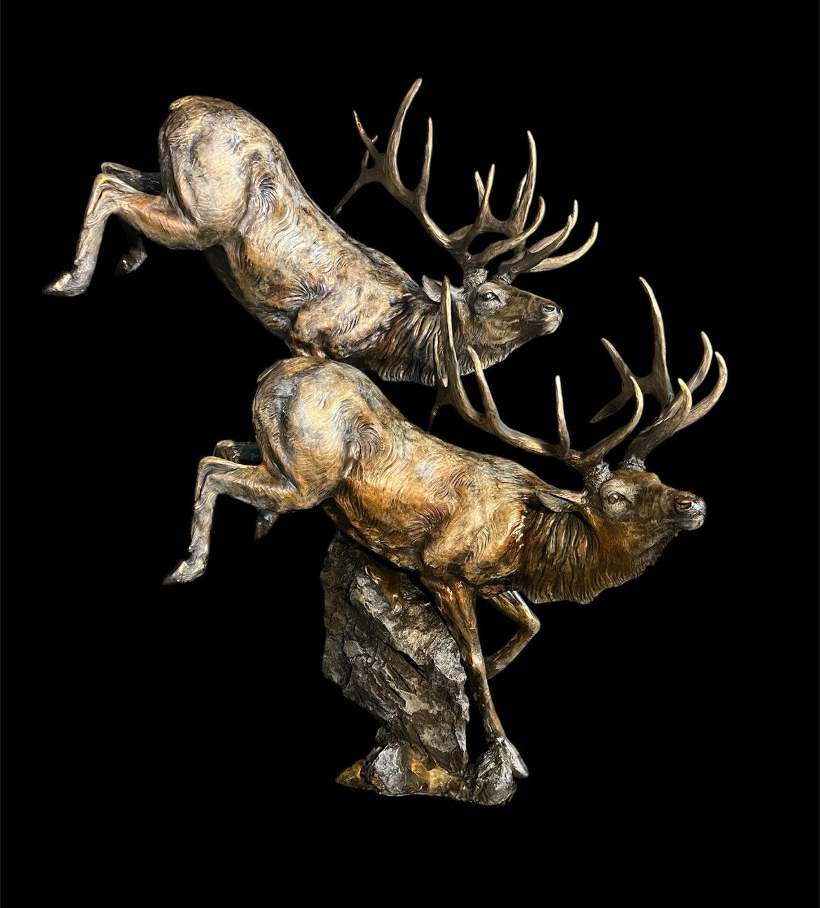 Heading for Timber, Scott Hayes