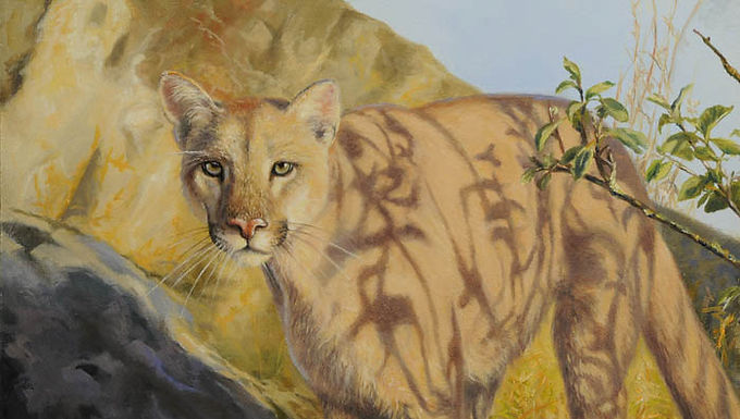 Barely There, Debra Trent