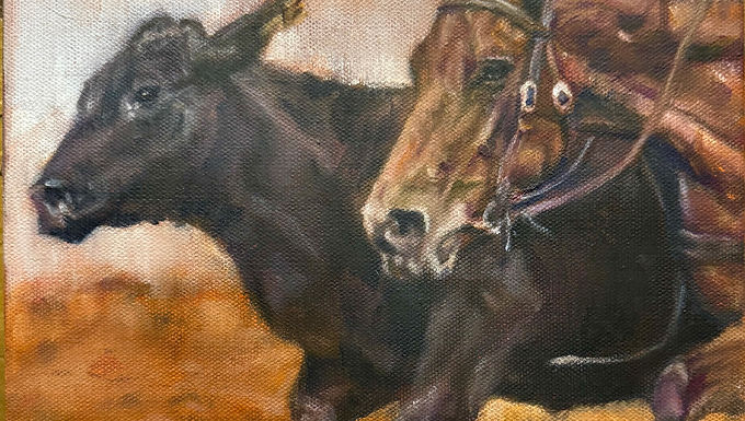 Determined, Suzette Howard