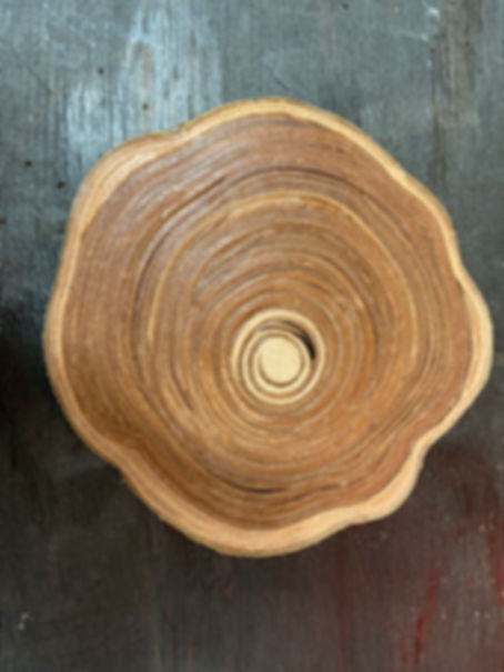 Baby Birch, Scott Gelander