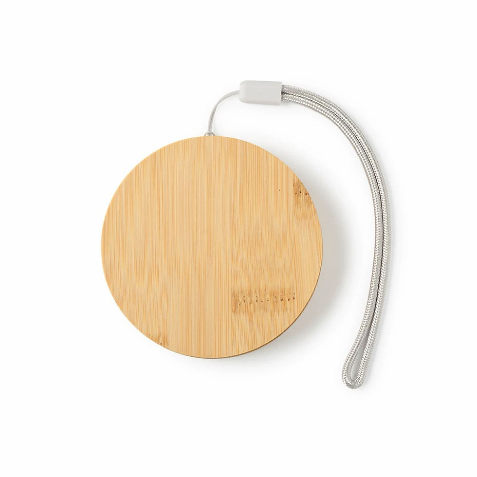Thumbnail: Bamboo Multi USB Charging Converter