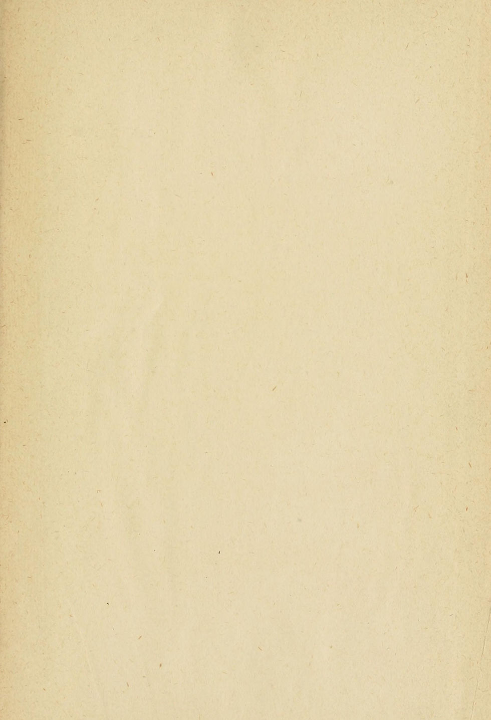 paper background.jpg