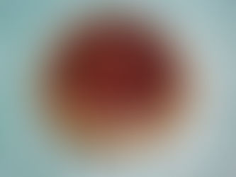 Tarte rustique aux abricot-framboise