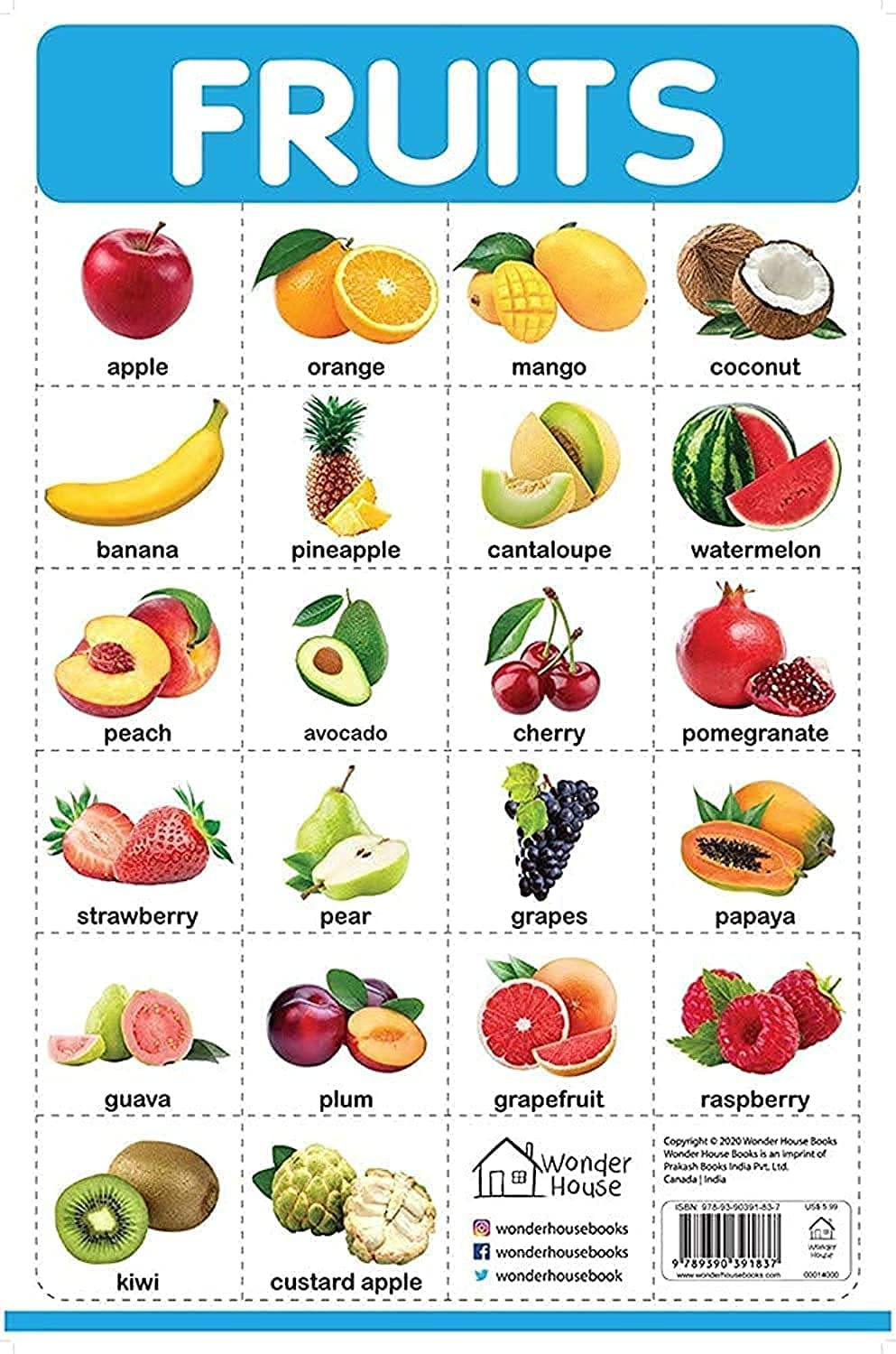Fruits Wall Chart