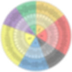 feelings wheel to help you identify simple and complex emotions