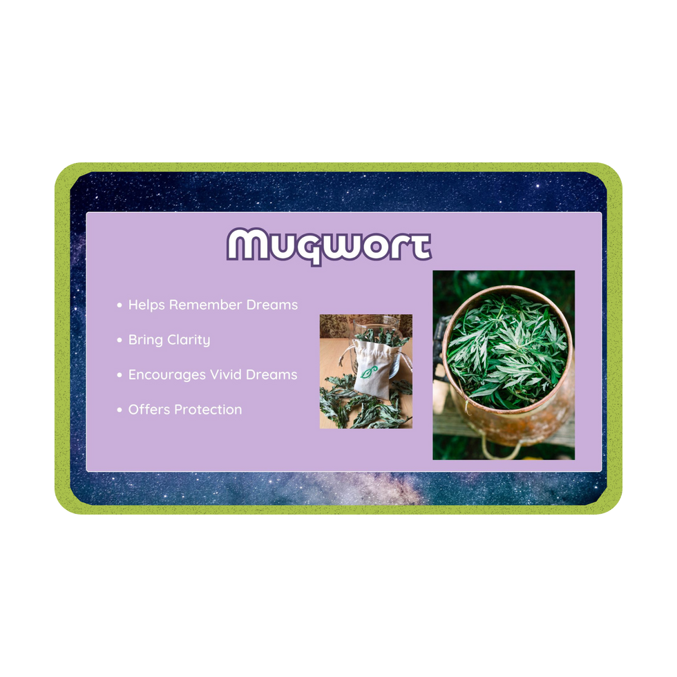 Mugwort: Helps remember dreams, brings clarity, encourages vivid dreams, offers protection
