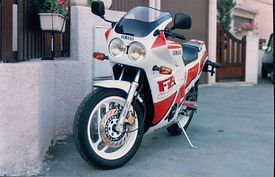 Yam_600_2.jpg