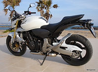 hornet_600_2.jpg