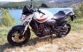 hornet_600_5.jpg