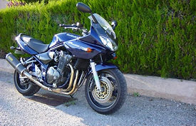Bandit_ph2_2.jpg