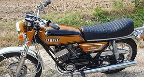 Yam_250_0.jpg
