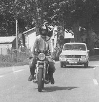 rd_350_1.jpg