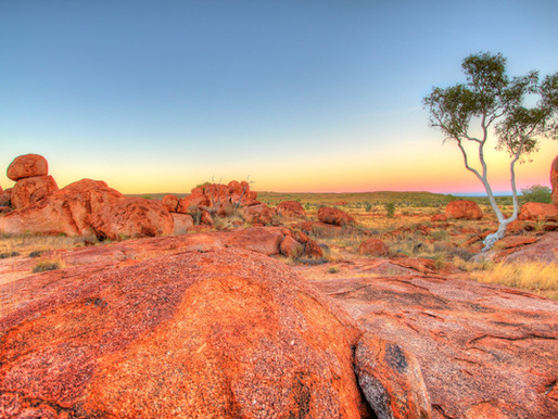 Ghost Gums